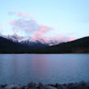 Meet your Posher, Mitch